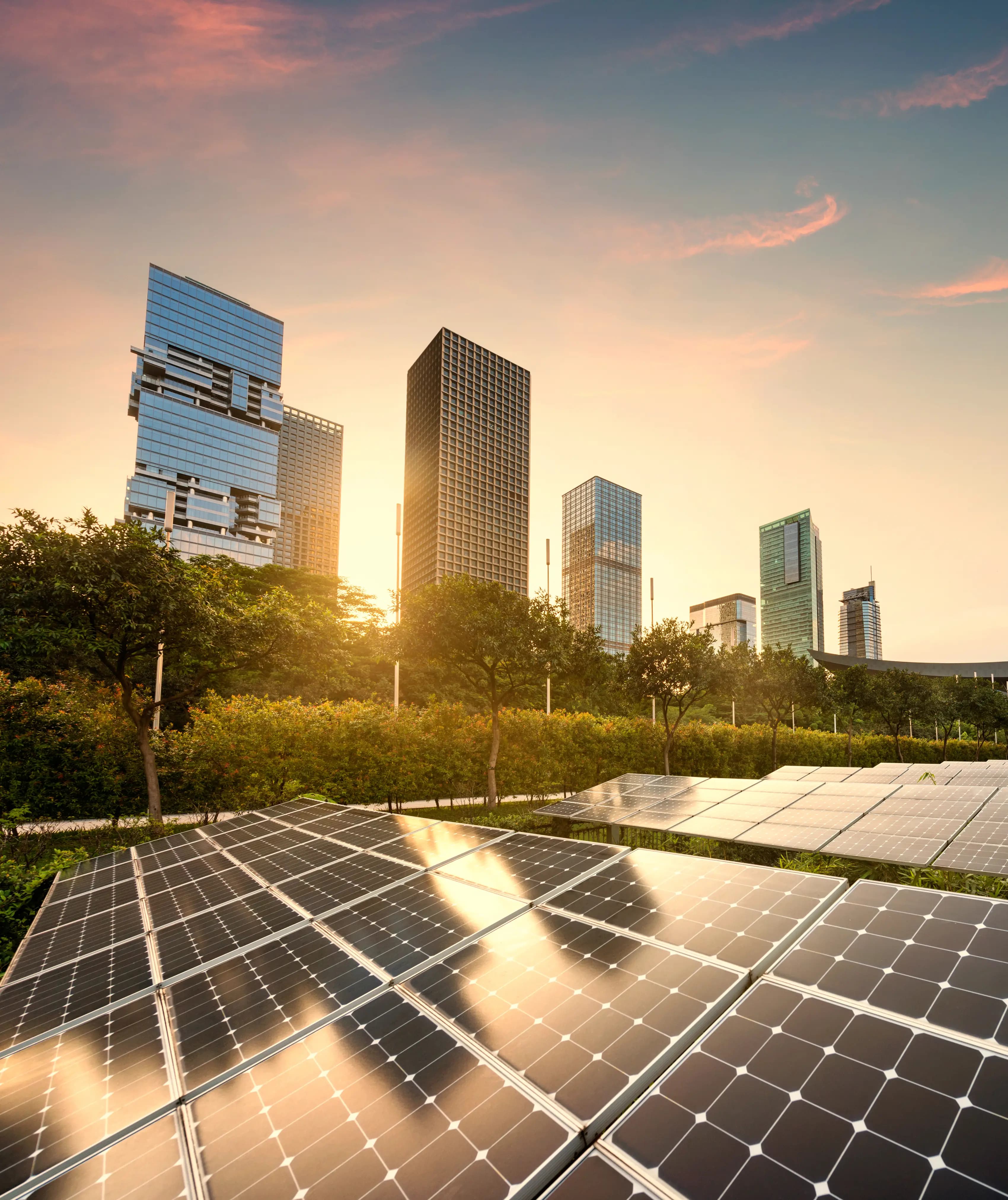 Sustainability initiatives at Jubilant FoodWorks